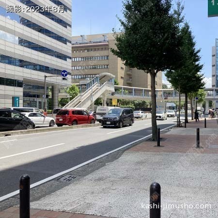 前面道路(いちょう通り)
