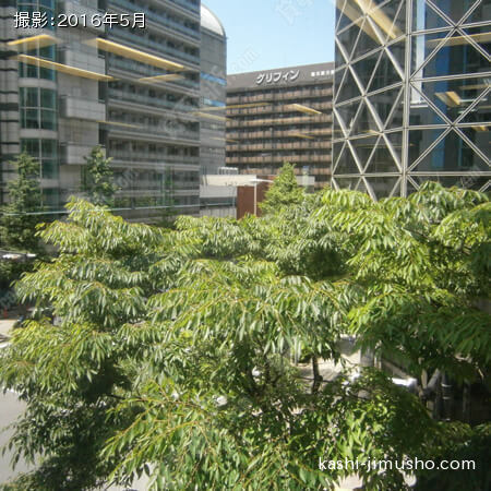 眺望(3階35.53坪)