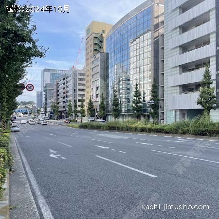 前面道路(セントラルアベニュー)