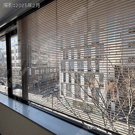 眺望(4階）