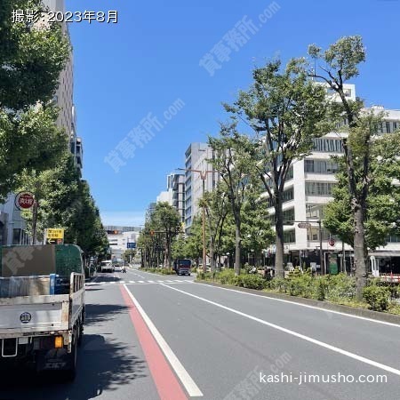 前面道路(市役所通り)