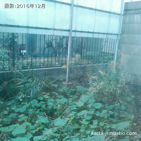 1F眺望 1F眺望