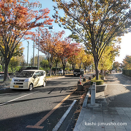 前面道路